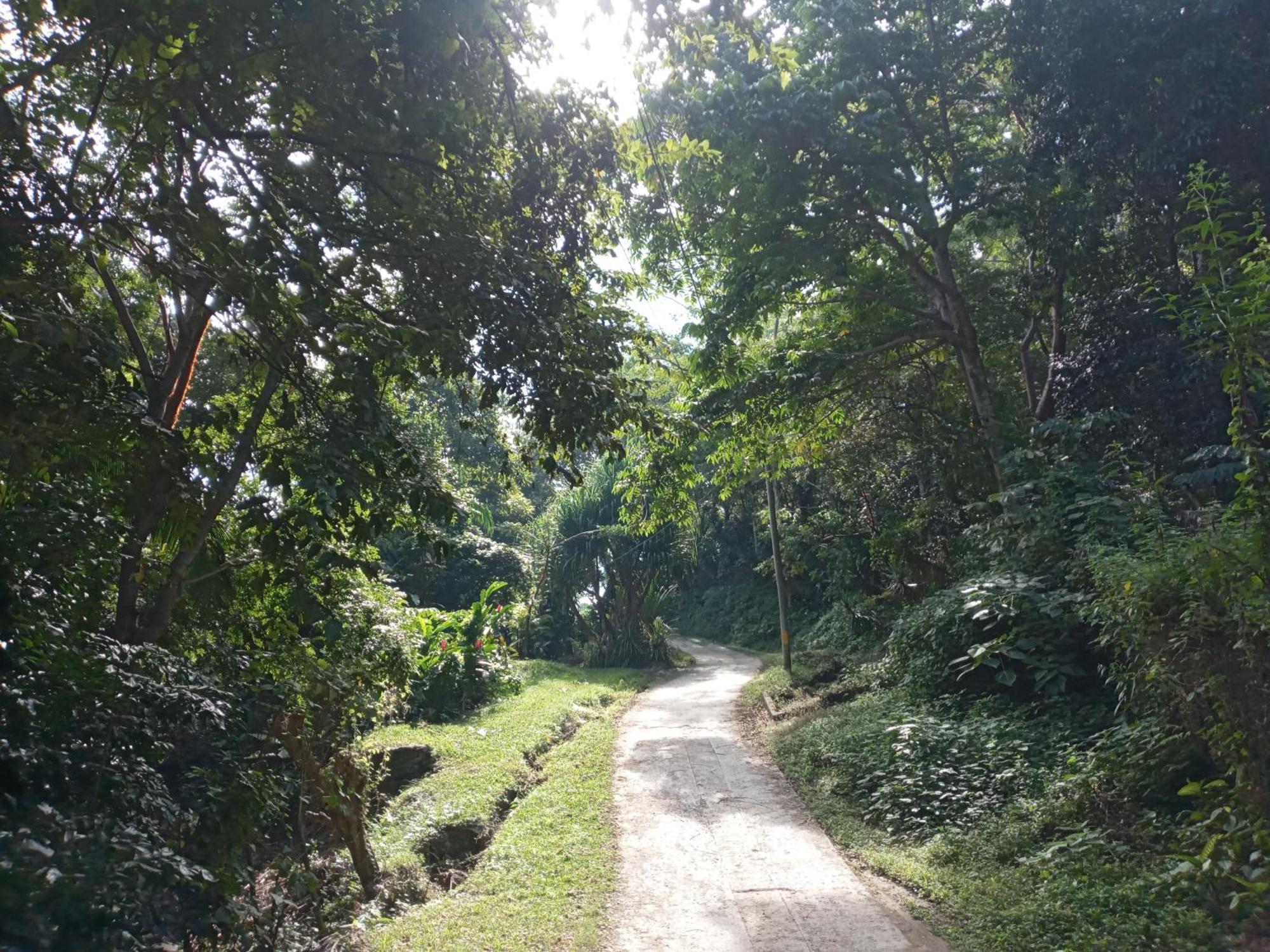 Hostal Juan Lindo ซานเปโดร ซูลา ภายนอก รูปภาพ