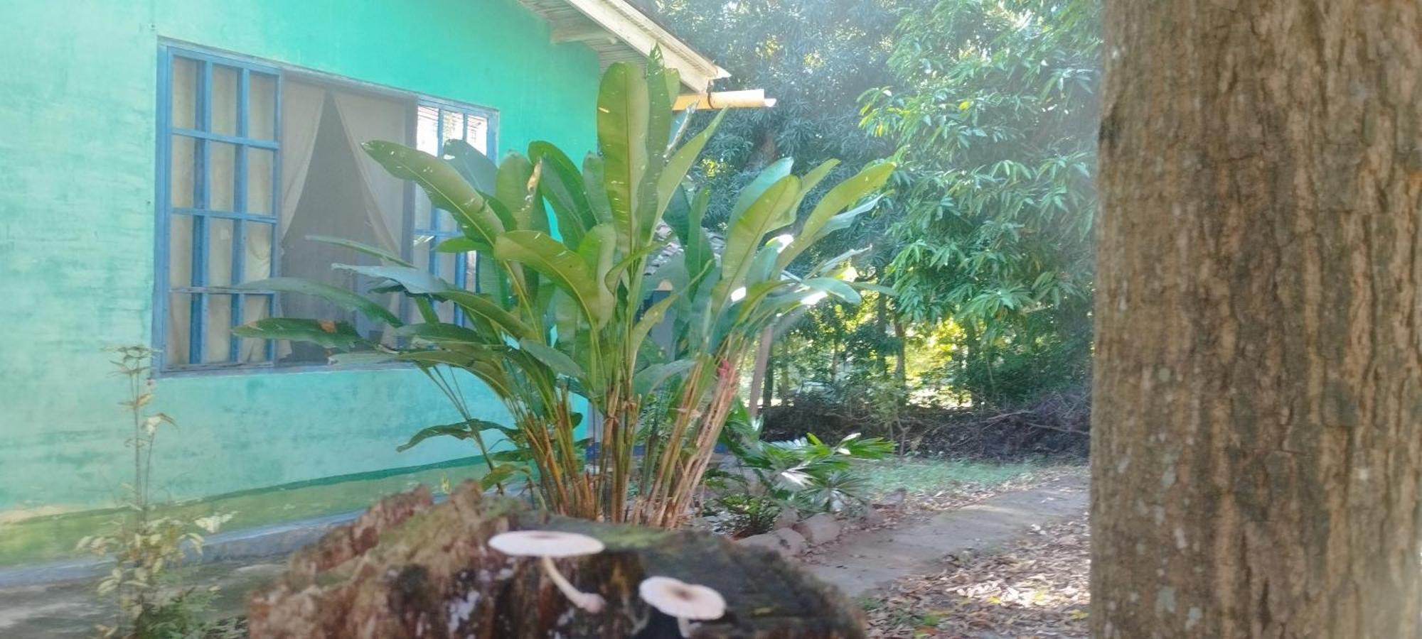 Hostal Juan Lindo ซานเปโดร ซูลา ภายนอก รูปภาพ