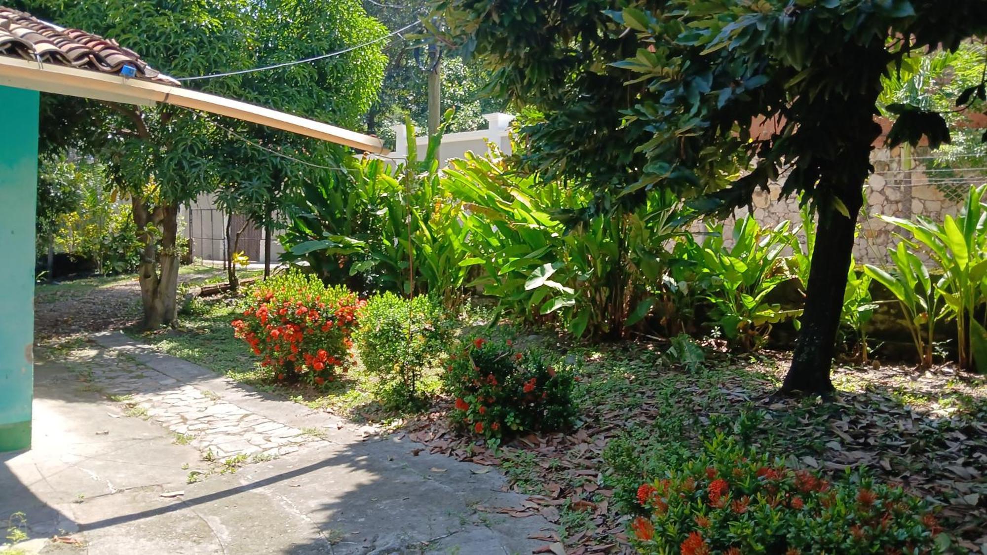 Hostal Juan Lindo ซานเปโดร ซูลา ภายนอก รูปภาพ